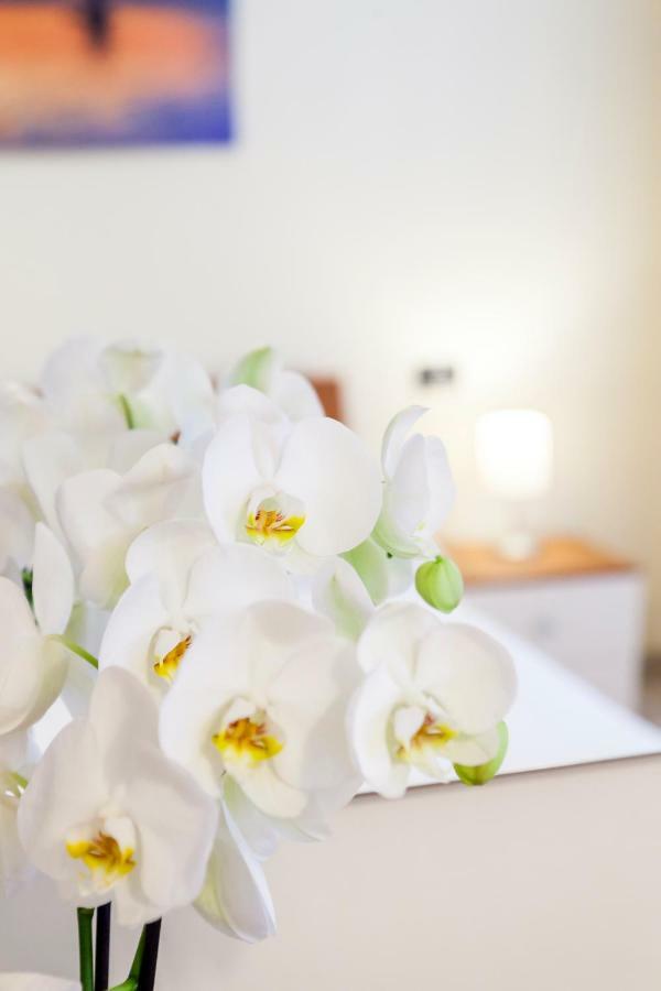 Iris Centralissimo San Remo Extérieur photo